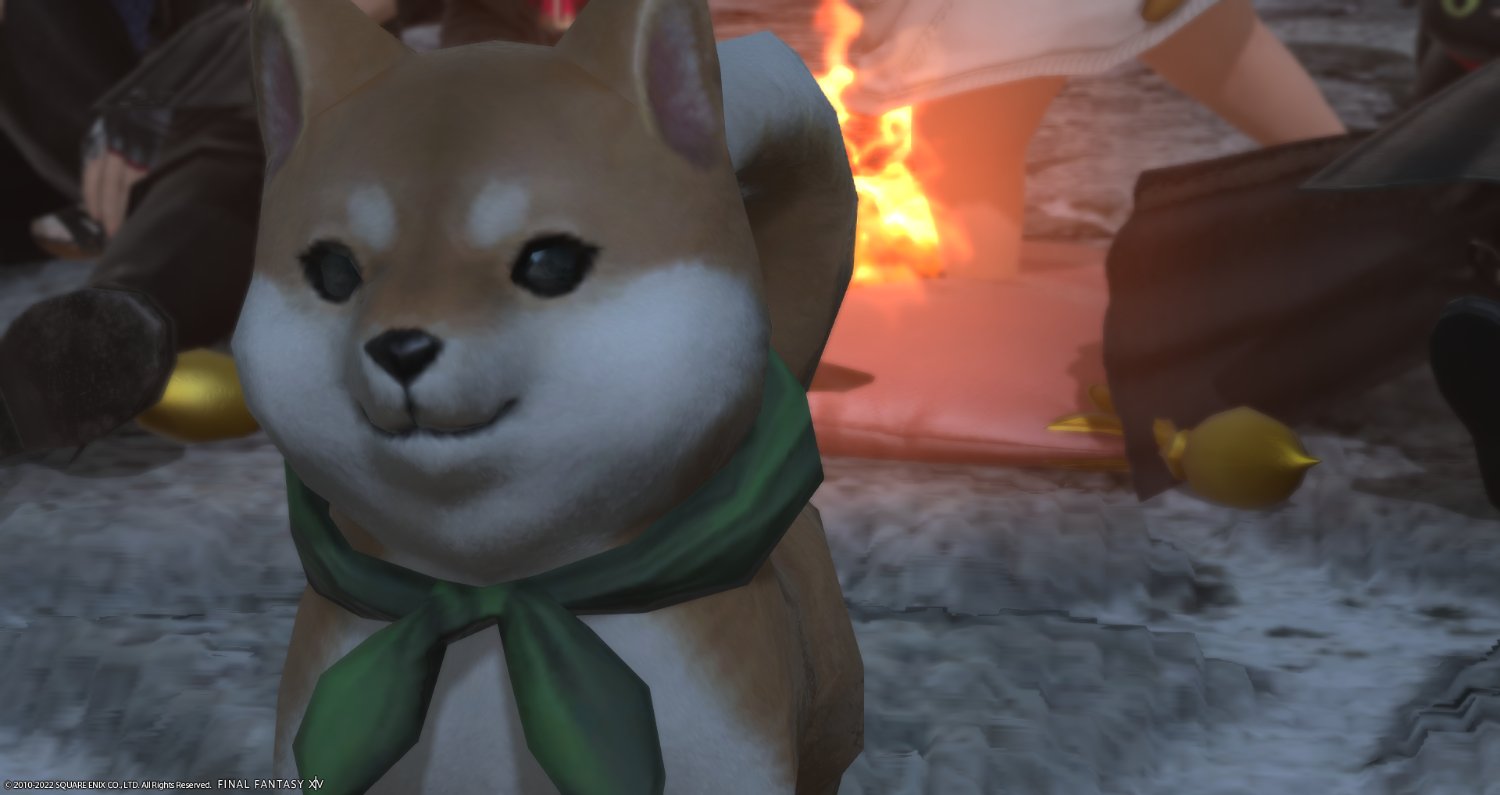 AzureShiba's profile banner image