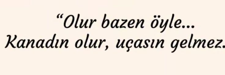 sunes banner