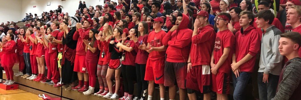 MHS Bird Cage banner