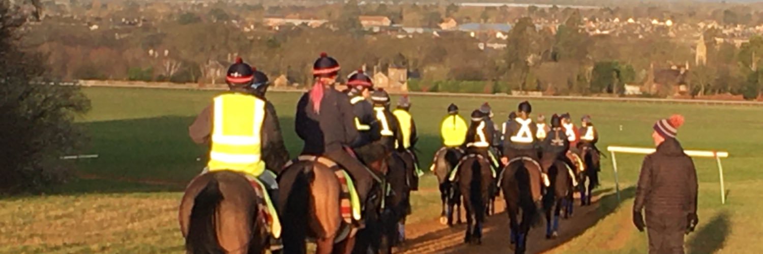 Newmarket Tipster banner