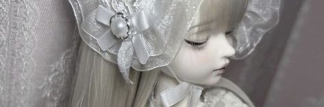 hokutobiter's profile banner image
