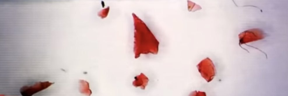SHE HIT HIM AND LEFT HIM TO DIE's banner