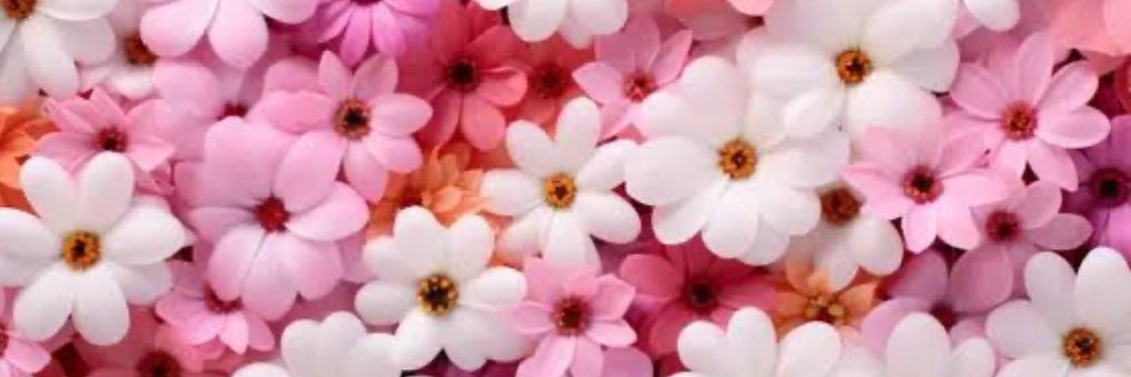 🎀 kenzie 🎀's banner