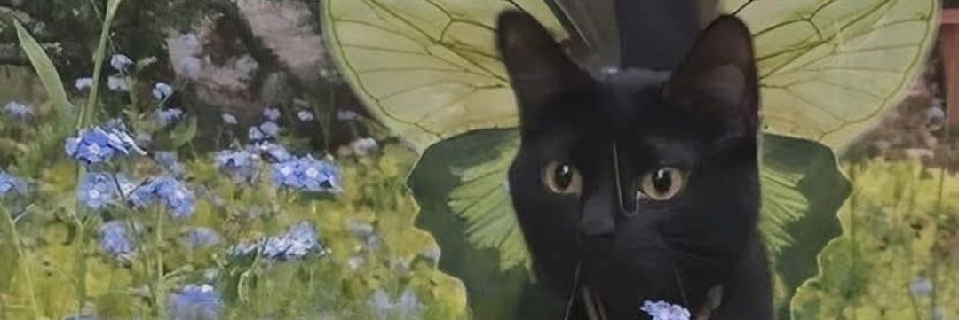 MiissBrownII's profile banner image