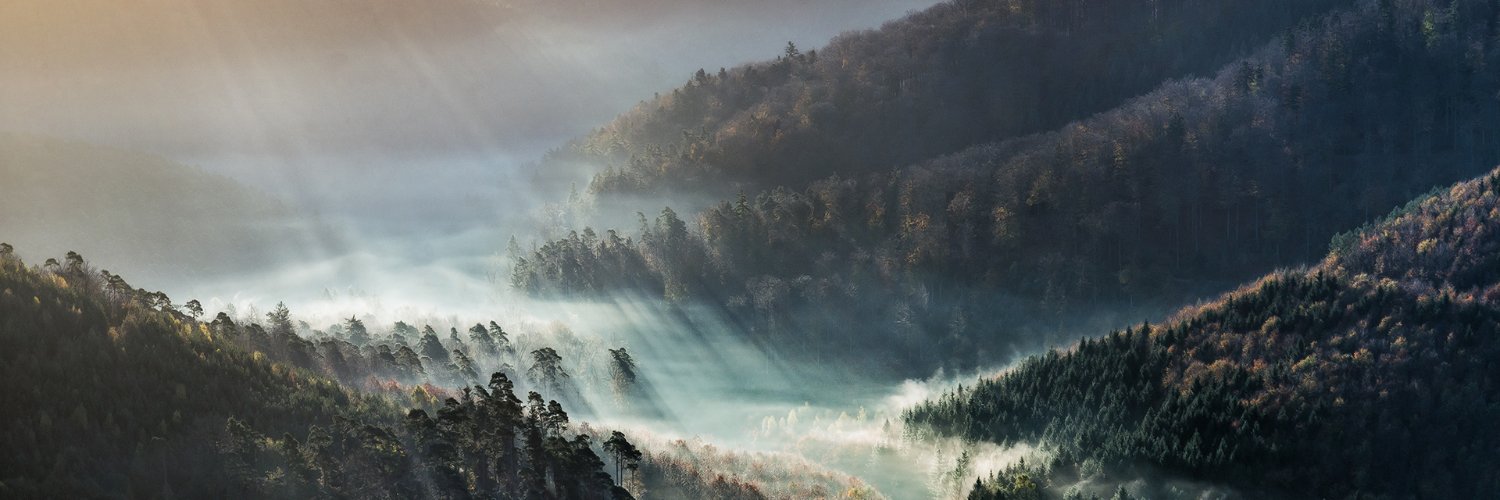 MakattackTDFAM banner