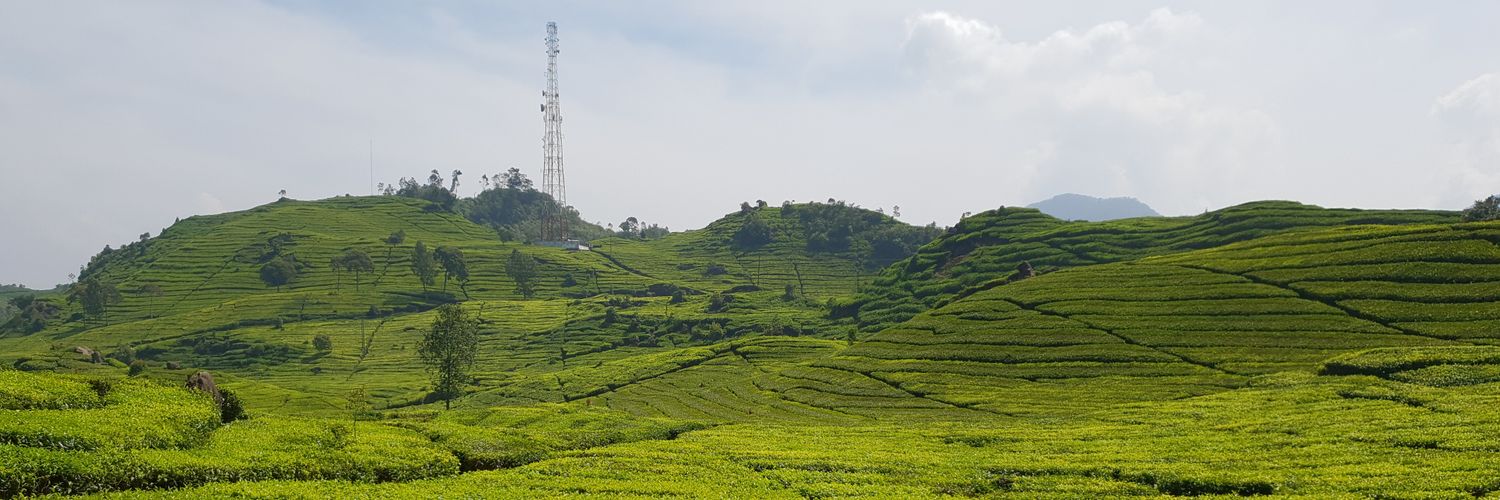 عمر الخالدي‎ banner