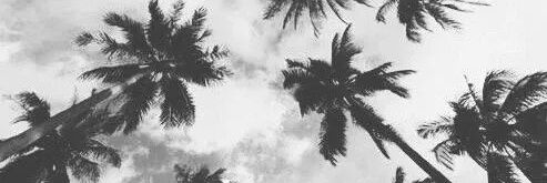 Lucho_154's profile banner image