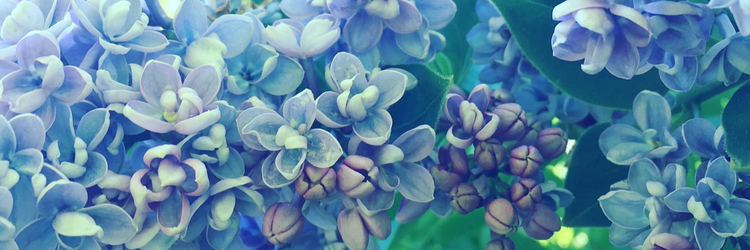 IzzyChesshh's profile banner image