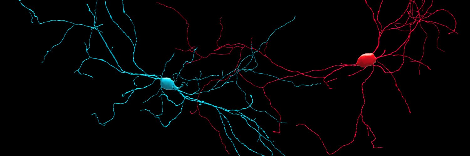 Max Tischfield banner