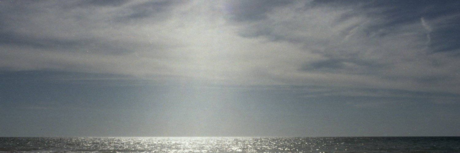 NEMICO's banner