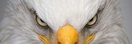OmarR84055's profile banner image
