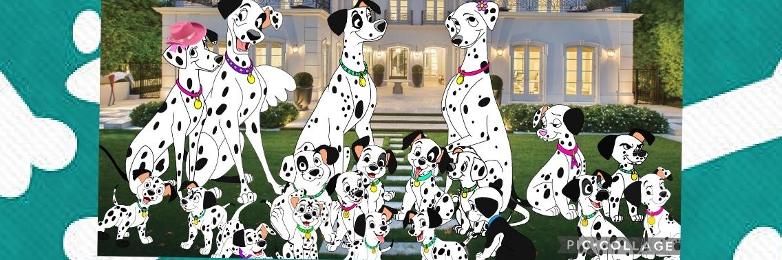 𝙲𝚑𝚘𝚙𝚙𝚎𝚛 ᴇᴅᴡᴀʀᴅ ᴅᴀʟᴍᴀᴛɪᴀɴ 🐾🦴🦷 banner