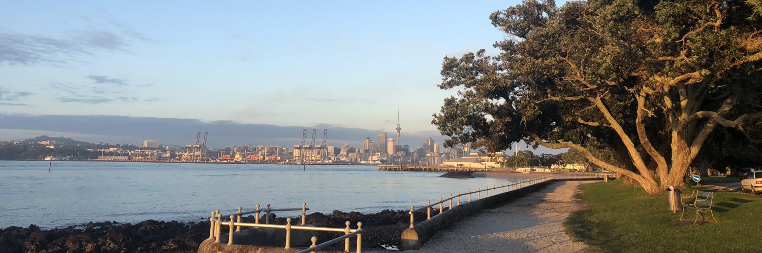 Nicky Preston banner