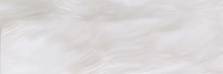 𝑚𝑖𝑖 banner