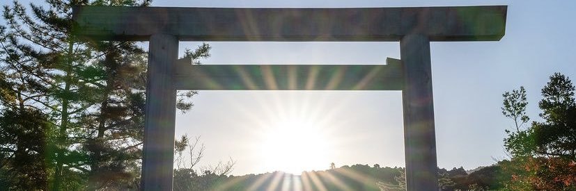 s k y banner