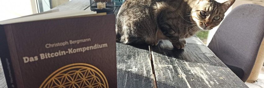 🚀Christoph Bergmann🚀 banner