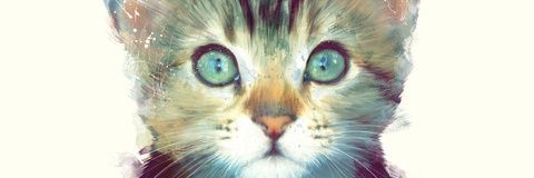 Pips995's profile banner image