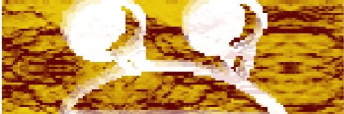 Ribbo banner