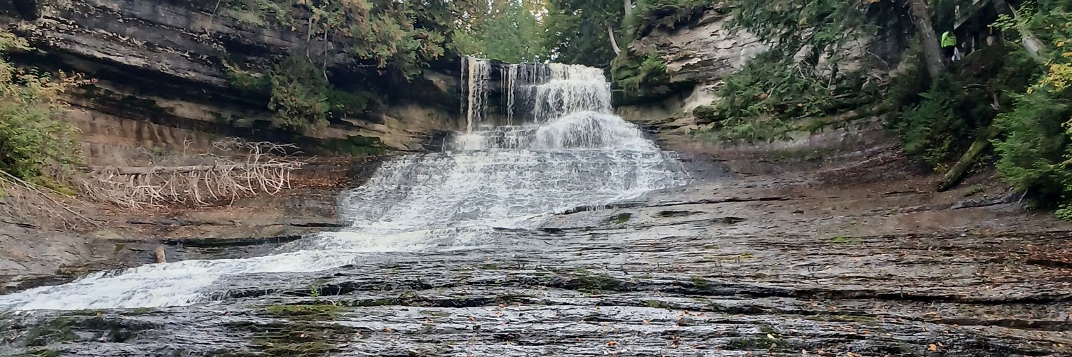 Travis Nachazel banner