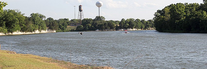 Demopolis Times banner