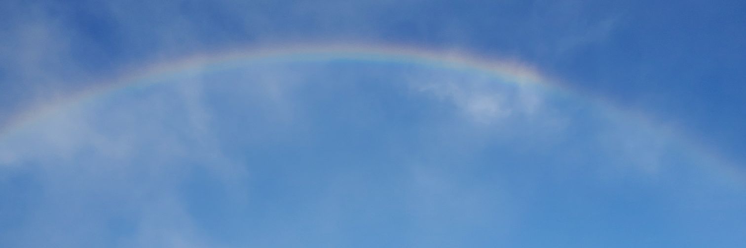 tabosutata's profile banner image