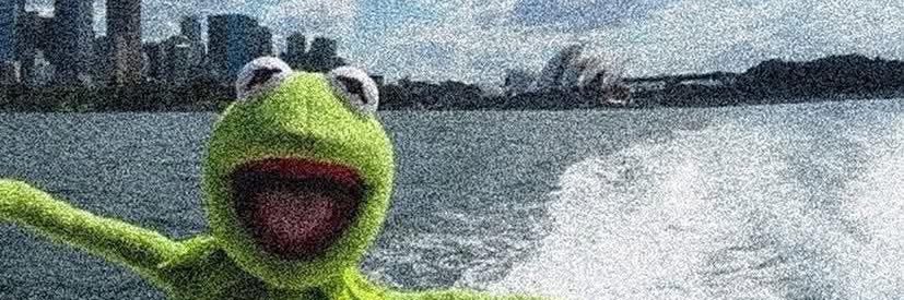 Paulie Penguins banner