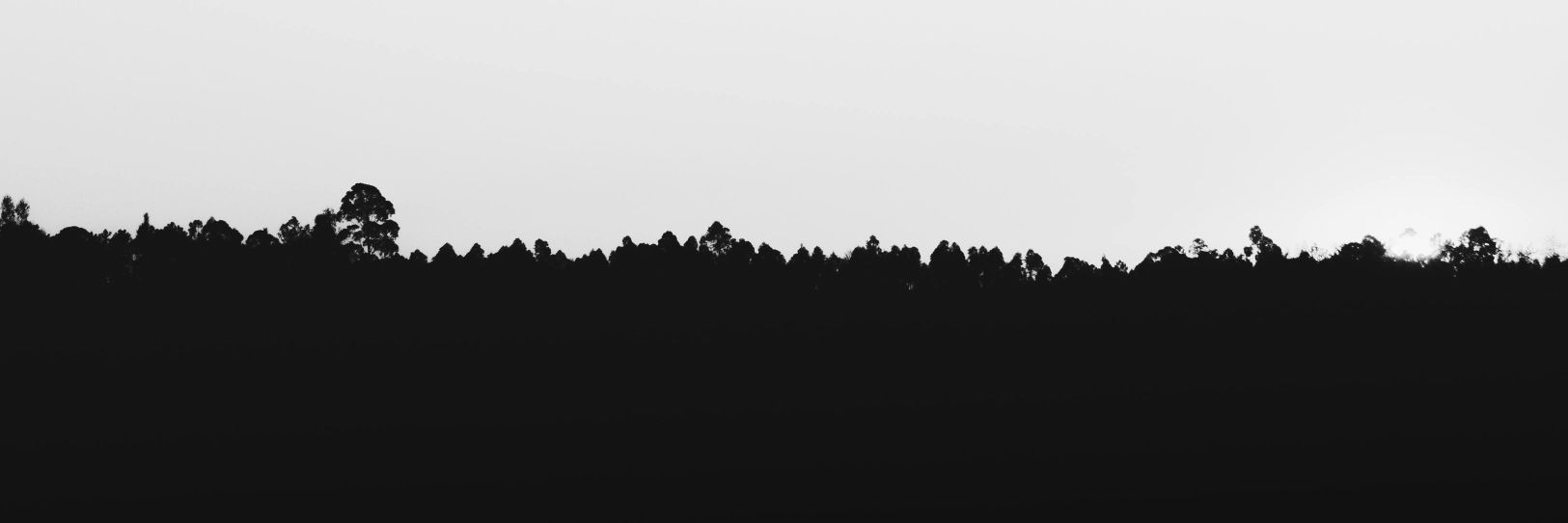 sudo_whoami's profile banner image