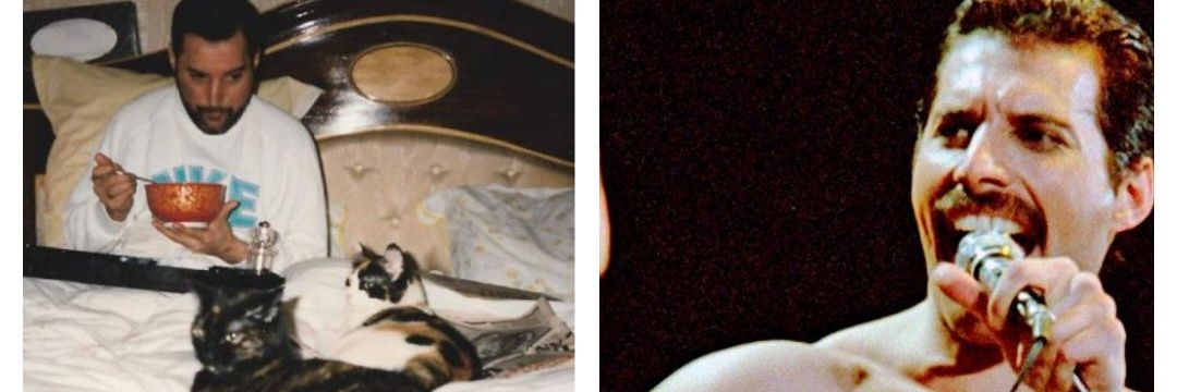 TheBmoreTip's profile banner image