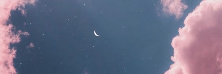 perfectstorm137's profile banner image