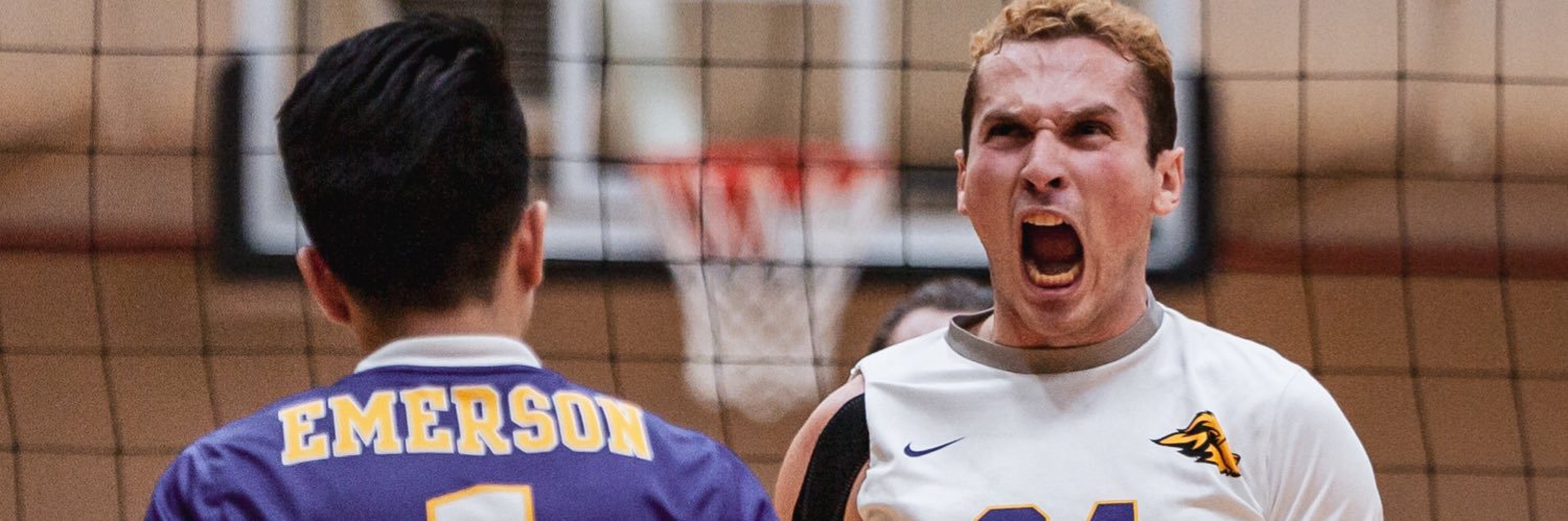 Emerson Channel Sports banner