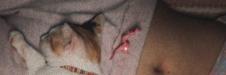 danpolanco_'s profile banner image
