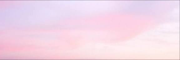 FemChocoWaffle's profile banner image