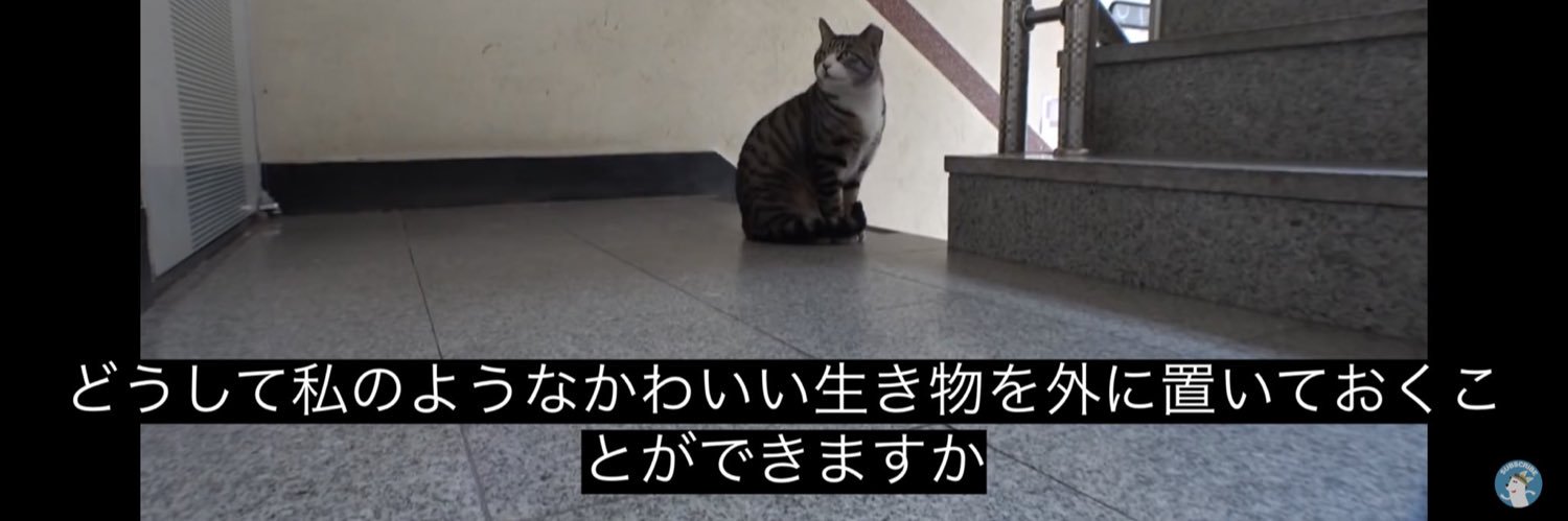 安ｯｯ❕ banner