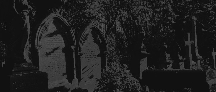 ᅠ ᅠ‎𝒂𝐫𝐜𝖙𝐮𝐫𝐮𝐬 ‎ ‎𝓫𝐥𝐚͟𝐜𝖐, ‎ ‎ ‎𝐢𝐯. banner