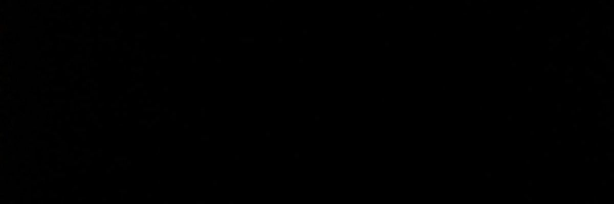 ̶W̶i̶l̶l̶i̶a̶m̶ ̶T̶.̶ ̶S̶p̶e̶a̶r̶s̶ banner