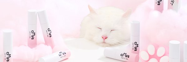 Catslab_kor Profile Banner