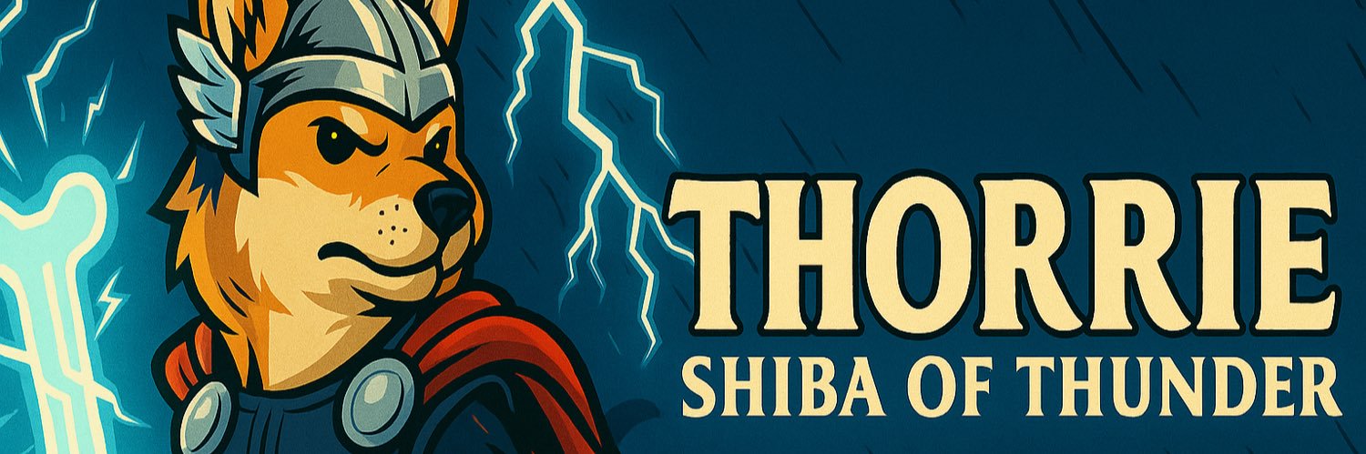 THORRIE_SOL's profile banner image