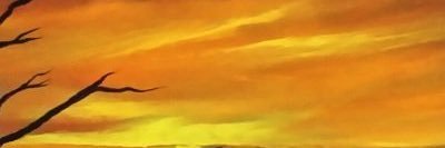 vandashner's profile banner image