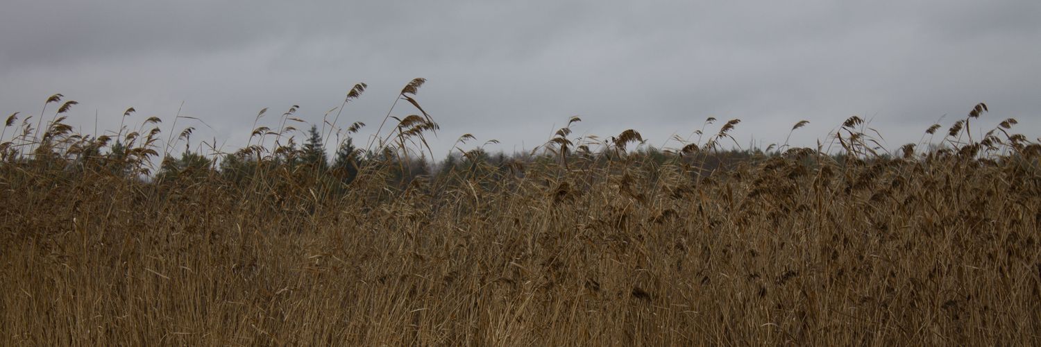 MorGven's banner