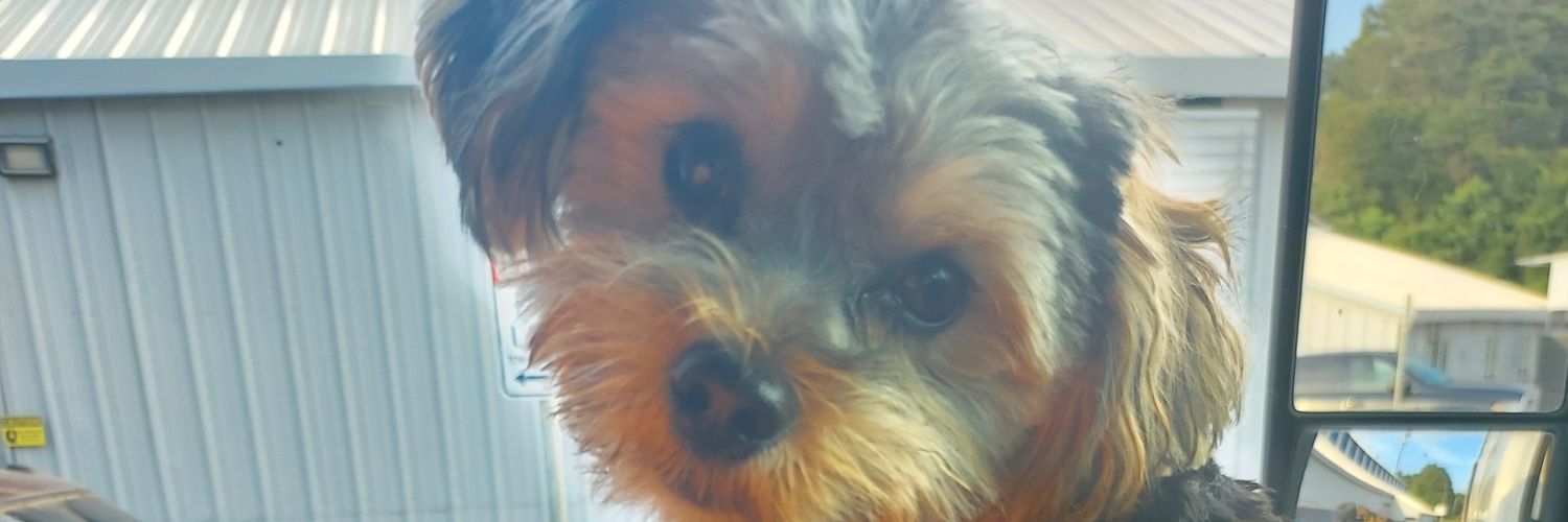 Scruff Man (@ScruffMan_2022) / Posts / X