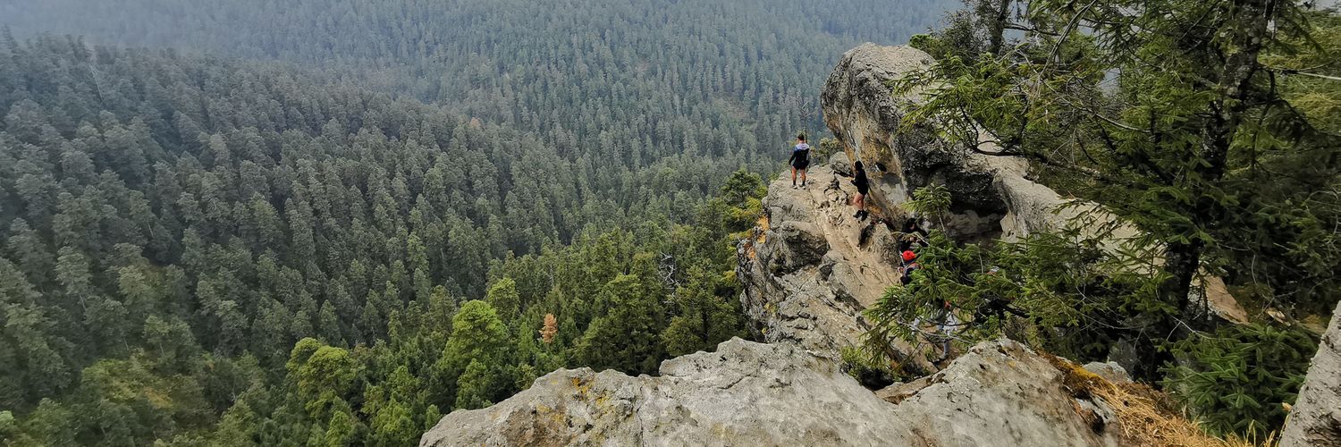 paulina cornejo mv banner