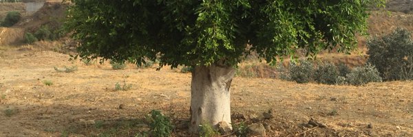 ConallMcD Profile Banner