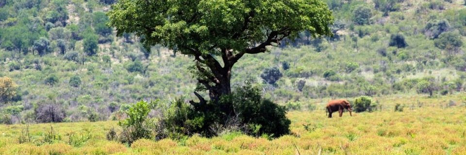 tommymcgregor's profile banner image