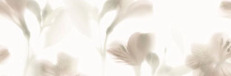 chih_3n's profile banner image