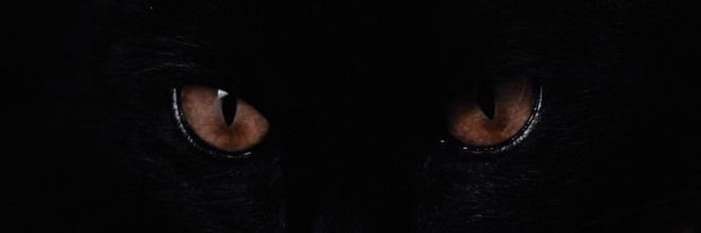 _6pure's profile banner image