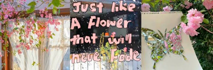 thisbee banner