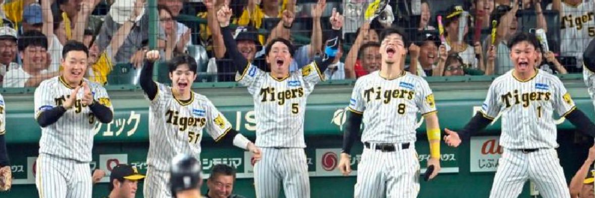 タケル🏟️ 6/19、7/8.9.16、8/22.23 banner