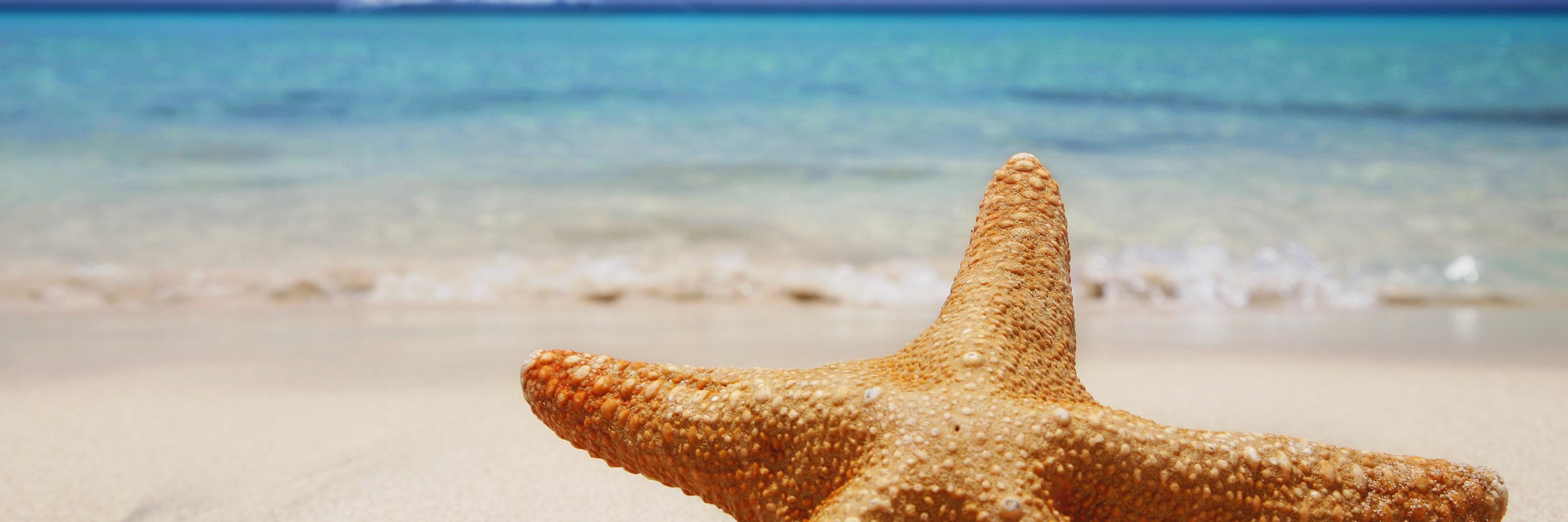 valedolobo's profile banner image