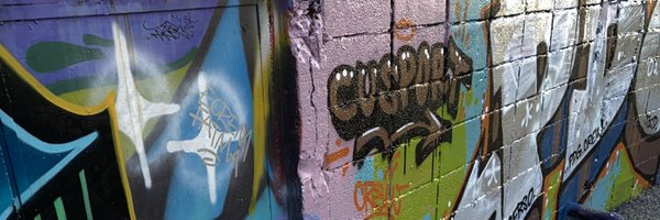 _alice_amdddd Profile Banner