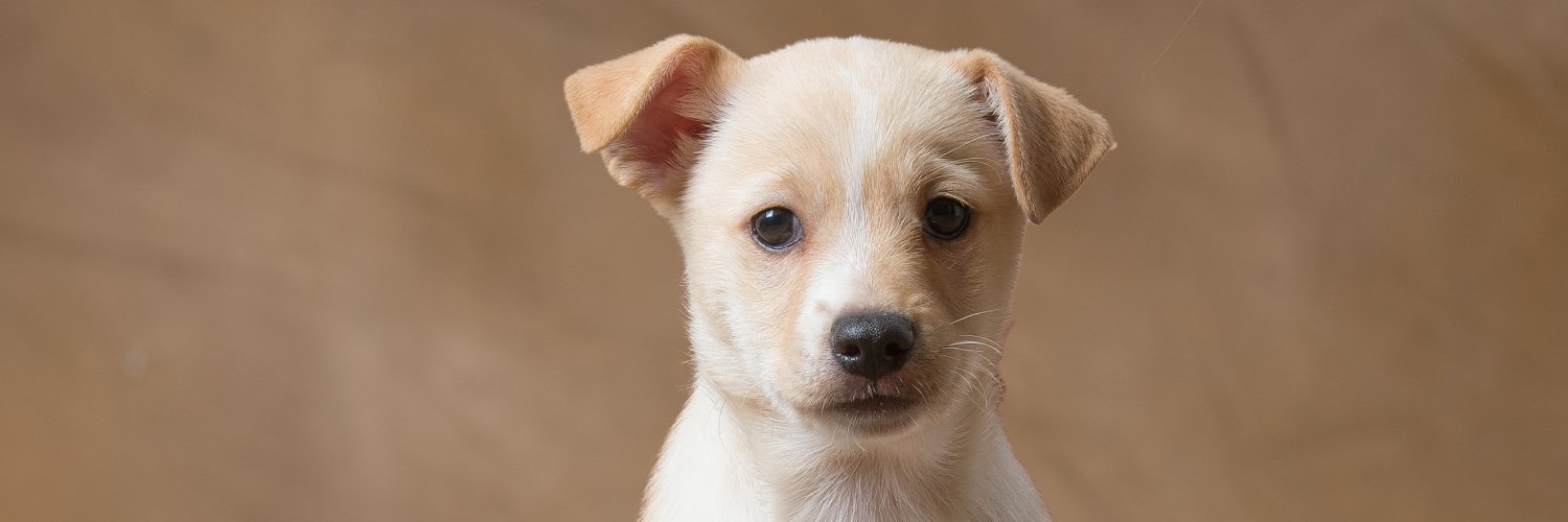 Scott County Humane Society banner